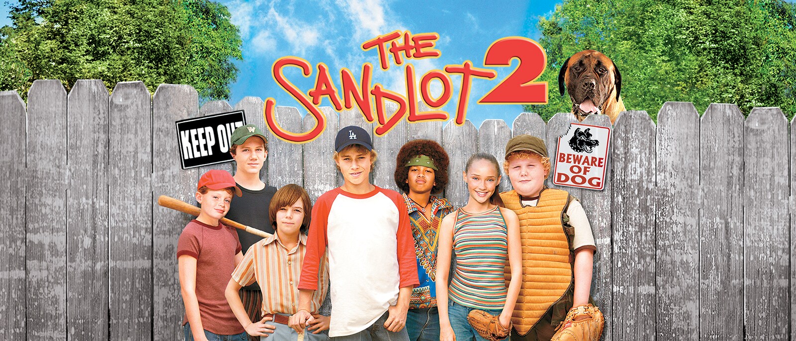 video-section-banner-image